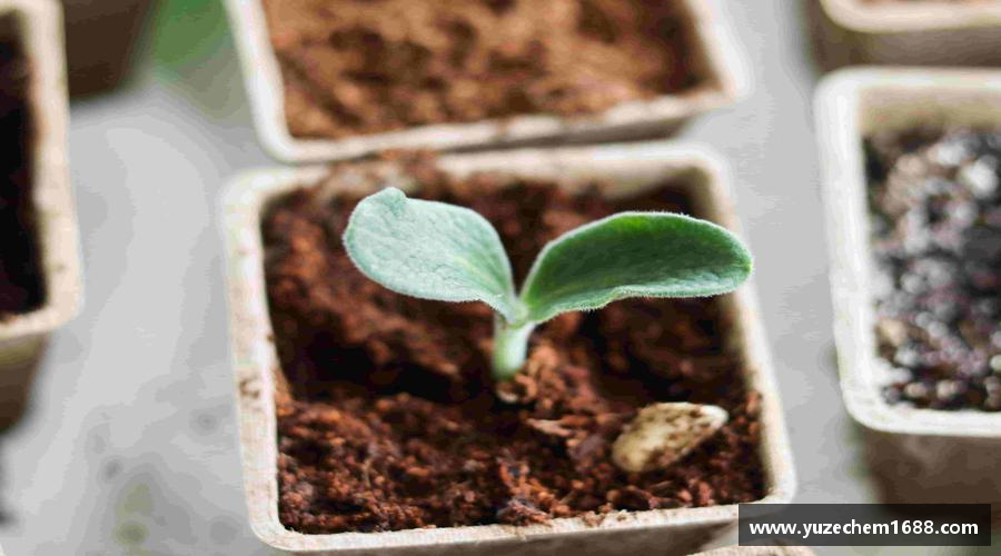 beat365中国在线体育平台坚韧不拔，夺取荣耀！